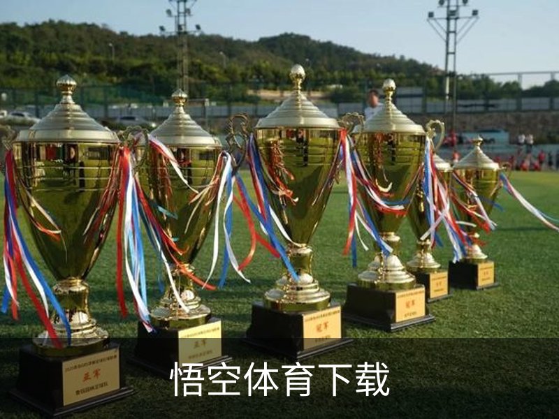 悟空体育下载概况